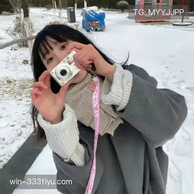 王甫锴